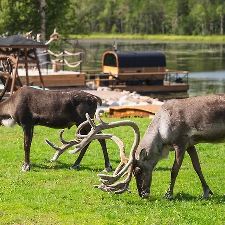 Aito Igloo & Ξενοδοχείο Ροβανιέμι