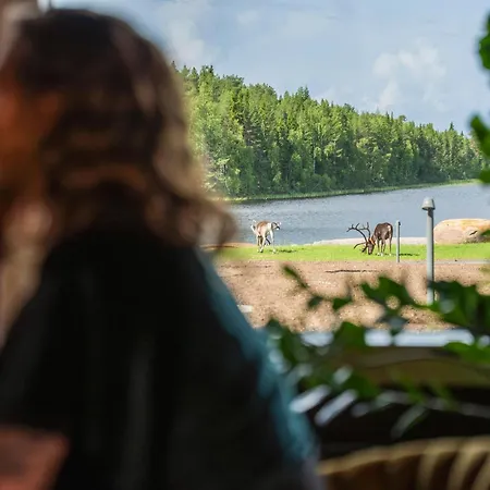 Ξενοδοχείο Aito Igloo & Ροβανιέμι