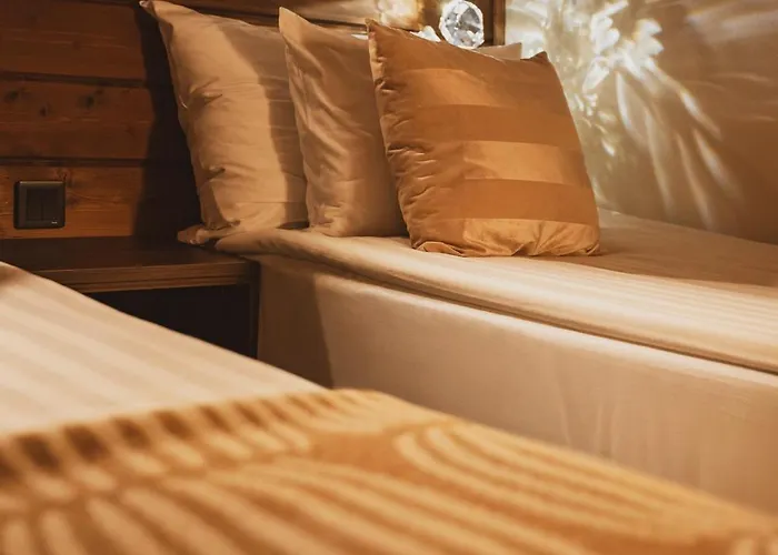 فندق Aito Igloo & روفانييمي