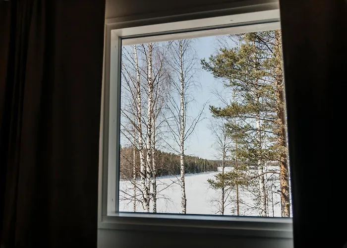 Aito Igloo & Rovaniemi