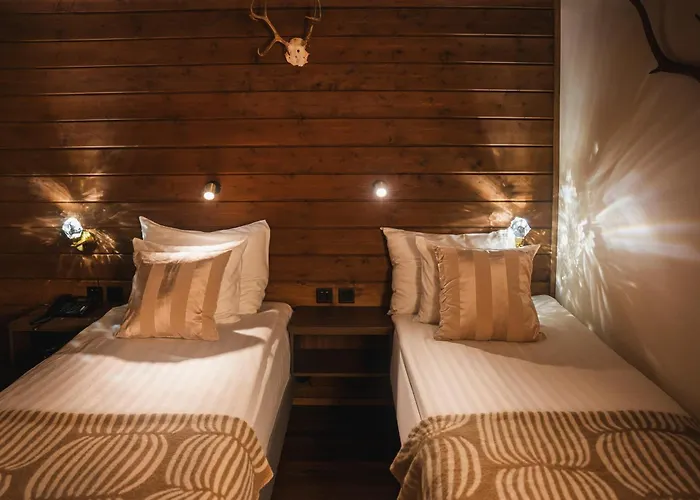 Hotel Aito Igloo & Rovaniemi