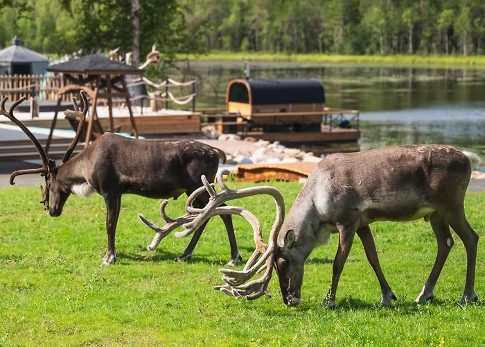 Aito Igloo & Hotel Rovaniemi
