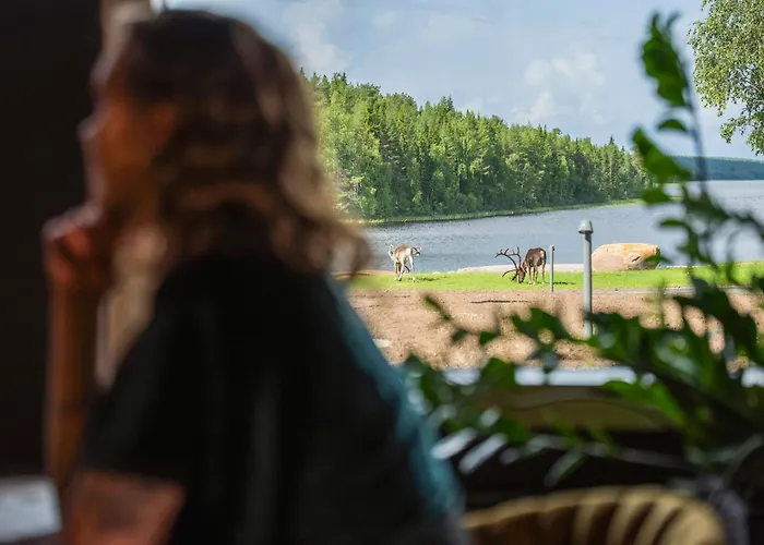 Hotel Aito Igloo & Rovaniemi